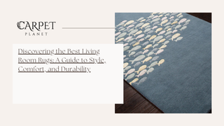 Discovering the Best Living Room Rugs: A Guide to Style, Comfort, and Durability