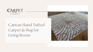 Living Room Rugs: Your Complete Guide to Choosing the Perfect Fit