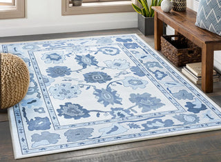 Infinty Oushak Hand Knotted Carpet & Rug