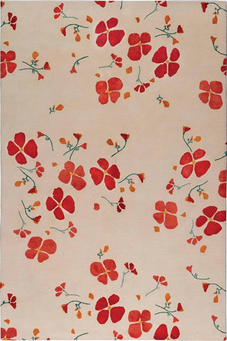 Paradigm Hand Tufted Carpet & Rugs