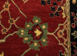 Ebony Traditional Hand Tufted Carpet & Rug