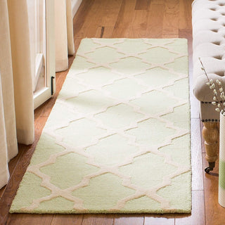Lushy Hand Tufted Runner Carpet & Rug